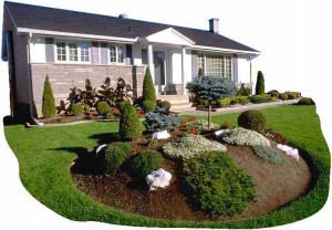 Landscape Design