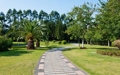 Improve Property Value Using a Professional Landscaping Company In Fresno CA Service