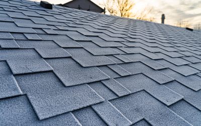 Residential Shingle Maintenance Tips to Prevent Water Damage and Costly Roof Repairs